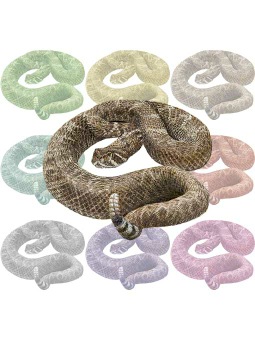 ポスカ・ガラガラ蛇（へび）／条件付フリー素材