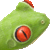 Red-eyed Tree Frog thumbnail