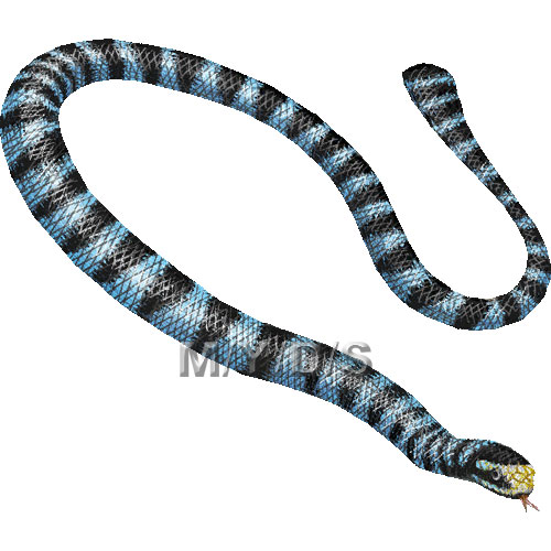 アオマダラウミヘビのイラスト／条件付フリー素材集