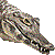 Spectacled Caiman thumbnail