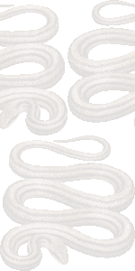 シマヘビの壁紙／無料イラスト
