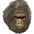 猿人／アイコン