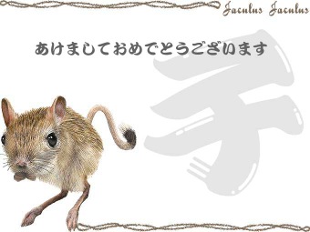 ヒメミユビトビネズミの年賀状イラスト／挿し絵タイプ