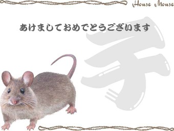 ハツカネズミの年賀状イラスト／挿し絵タイプ