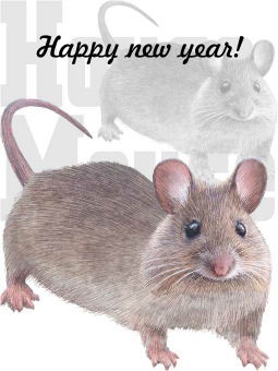 二十日鼠の年賀状イラスト／イメージ画像タイプ