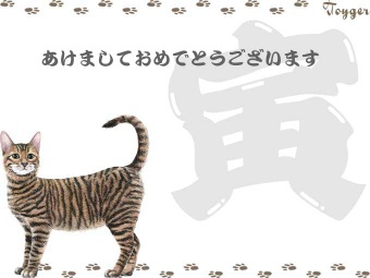 トイガーの年賀状イラスト／挿し絵タイプ
