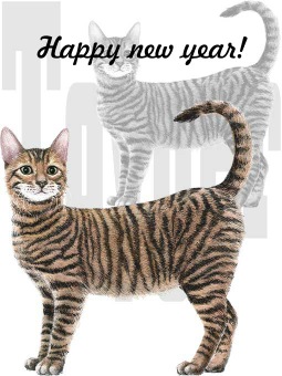 猫の年賀状イラスト／イメージ画像タイプ