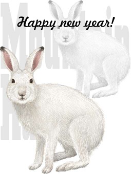 雪ウサギ（冬毛）の年賀状イラスト／イメージ画像タイプ