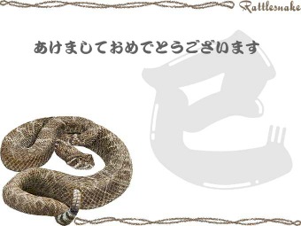 ダイヤガラガラヘビの年賀状イラスト／挿し絵タイプ