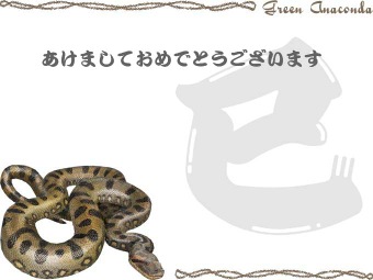 オオアナコンダの年賀状イラスト／挿し絵タイプ