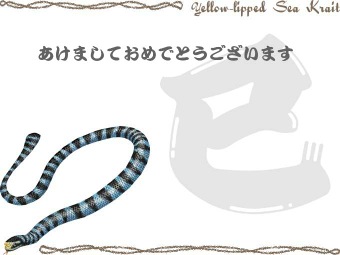 アオマダラウミヘビの年賀状イラスト／挿し絵タイプ
