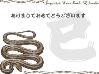 シマヘビの年賀状イラスト／挿し絵タイプ