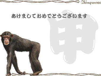 チンパンジーの年賀状イラスト／挿し絵タイプ