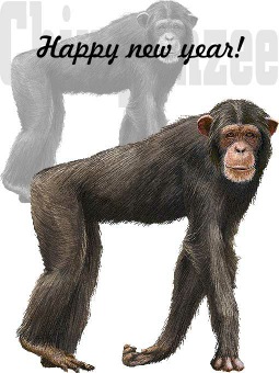 チンパンジーの年賀状イラスト／イメージ画像タイプ