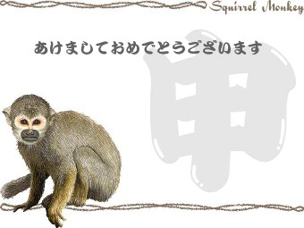 栗鼠猿の年賀状イラスト／挿し絵タイプ
