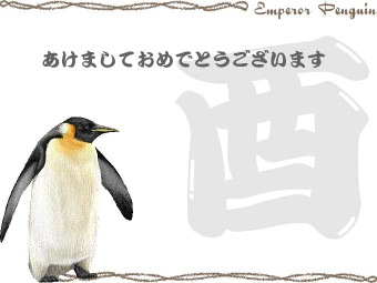コウテイペンギンの年賀状イラスト／挿し絵タイプ