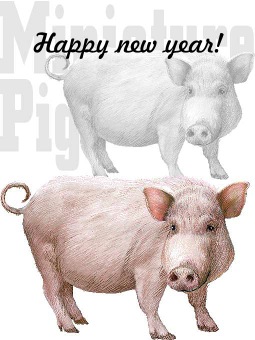 ミニ豚の年賀状イラスト／イメージ画像タイプ