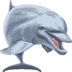 リアルタッチ海豚