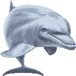 ペイントタッチ海豚　色数4色＜リアルタッチ海豚／条件付フリー画像