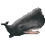 リアルマッコウクジラ／アイコン