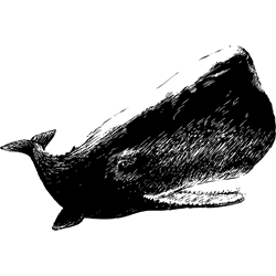 まっこうくじら　色数1色＜054 リアルマッコウクジラのイラスト／条件付無料素材