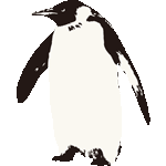 モノトーン皇帝ペンギン　色数2色＜リアルタッチコウテイペンギン／条件付フリー画像