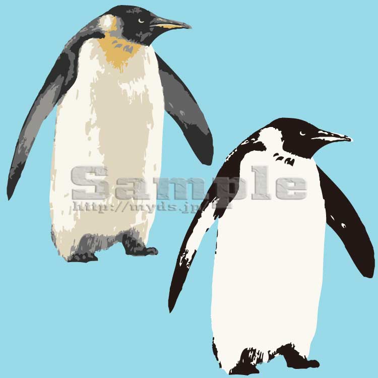 048 リアル皇帝ペンギン＜ペンギン／条件付フリー素材・商用無料イラスト