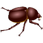 雌カブトムシ　色数3色（グラデーションあり）＜カブトムシの雄と雌／条件付フリー画像