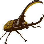 ヘラクレス大甲虫　色数3色＜ブラシタッチヘラクレス大カブト／条件付フリー画像