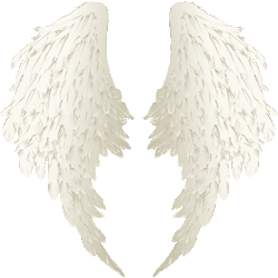 エンジェルの羽根　色数2色（グラデーションあり）＜291 天使の翼のイラスト／条件付フリー素材