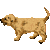ゴールデンリトリバー子犬　色数4色のアイコン