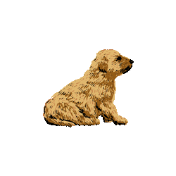 ゴールデンレトリーバー小犬　色数4色＜107 ゴールデンレトリバーの親子のイラスト／非営利無料素材
