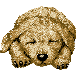 居眠りレトリーバー　色数4色＜108 刺繍風レトリバーの子犬のイラスト／条件付無料素材
