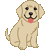 シンプルレトリバー子犬／アイコン