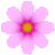 ピンクコスモス　色数4色（グラデーションあり）のアイコン