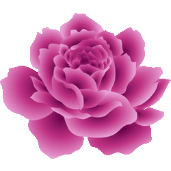 ピンクのバラ　色数3色（グラデーションあり）＜317 薔薇のイラスト／条件付フリー素材
