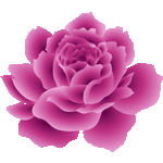 ピンクのバラ　色数3色（グラデーションあり）＜バラ4カラー／非商用無料イラスト