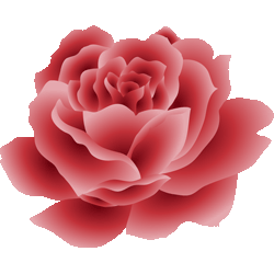 赤い薔薇　色数3色（グラデーションあり）＜317 薔薇のイラスト／条件付無料素材