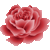 赤い薔薇　色数3色（グラデーションあり）のアイコン