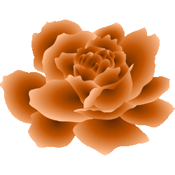 オレンジばら　色数3色（グラデーションあり）＜317 薔薇のイラスト／非営利無料素材