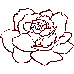 単色薔薇　色数1色＜017 線画ローズのイラスト／非営利無料素材