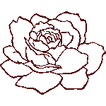 単色薔薇　色数1色＜バラのアウトライン／条件付フリーイラスト
