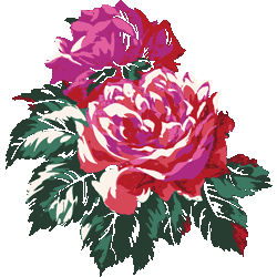 薔薇二輪　色数8色＜021 ロココ薔薇のイラスト／非営利無料素材