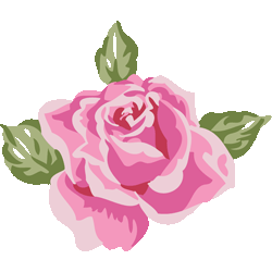ぴんく薔薇　色数6色＜024 ピンクのバラのイラスト／条件付フリー素材