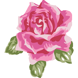 暖色系バラ　色数6色＜024 ピンクのバラのイラスト／条件付無料素材