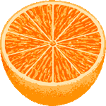 カットみかん　色数4色＜リアルタッチ柑橘類／条件付フリー画像