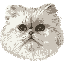 ペルシャネコの頭　色数4色＜171 リアルペルシャ猫のイラスト／条件付無料素材