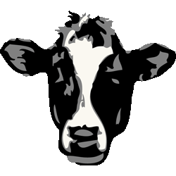 牝牛　色数4色＜015 リアルホルスタインのイラスト／条件付無料素材