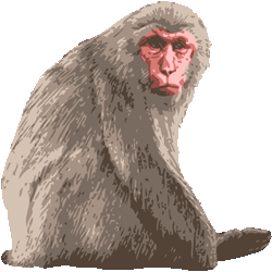 口閉じニホン猿　色数7色＜153 リアル日本猿のイラスト／条件付フリー素材