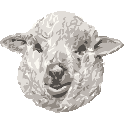 多色羊の頭　色数5色＜178 リアルひつじのイラスト／条件付無料素材